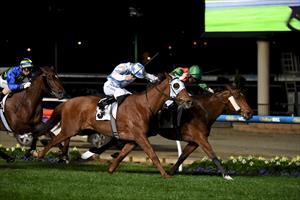 Escado fights to the finish and goes on to win at Moonee Valley Escado fights to the finish and goes on to win at Moonee Valley